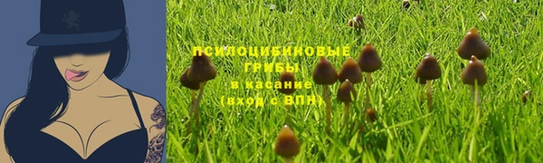 spice Белокуриха